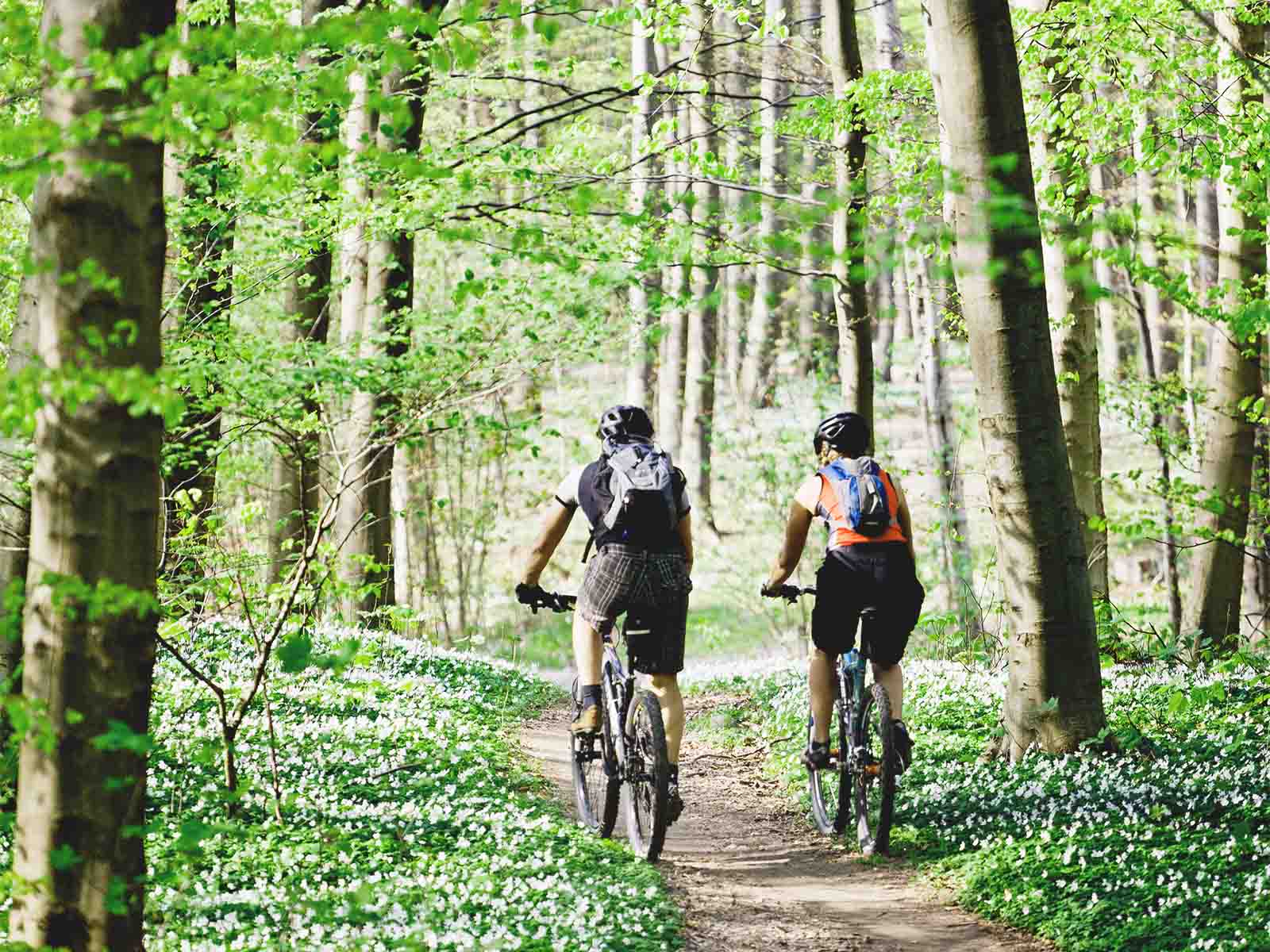 To cyklister på mountainbikes i skoven
